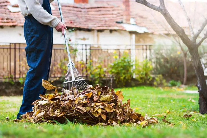 Landscaping