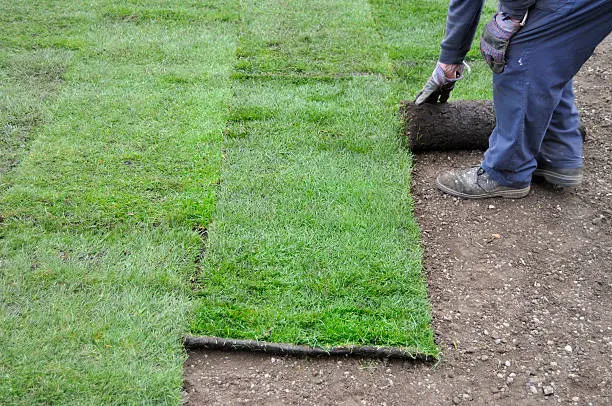 How long after installing sod can you walk on it in Miami Gardens, FL