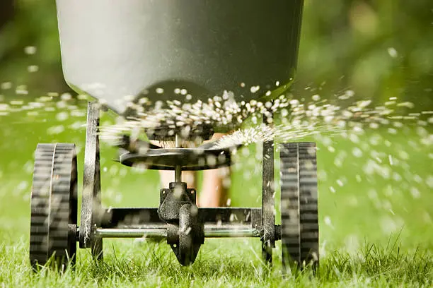 How often should you fertilize your lawn Miami Gardens, FL