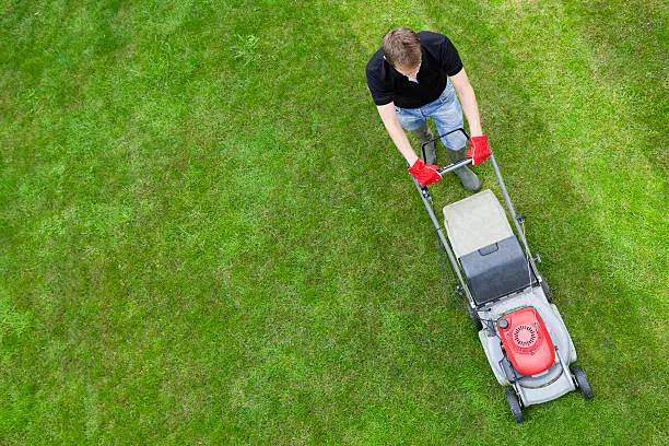 How to mow a lawn in Miami Gardens, FL