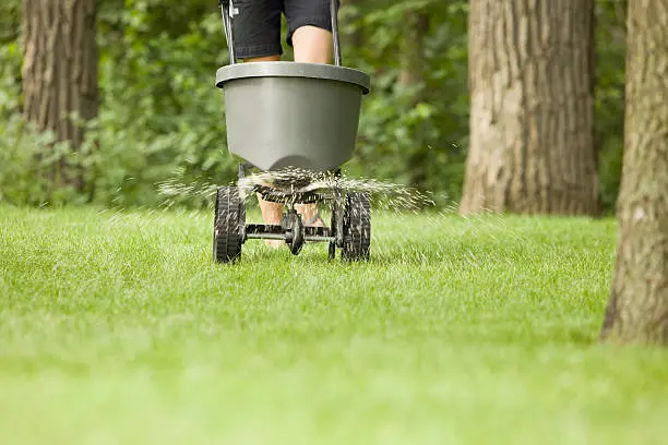 Lawn Fertilization in Miami Gardens, FL