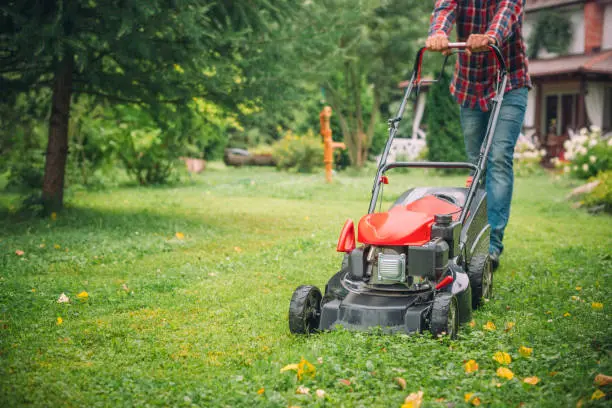 Lawn Mowing Miami Gardens, FL