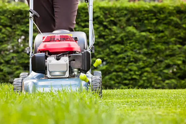 Lawn Mowing and Edging