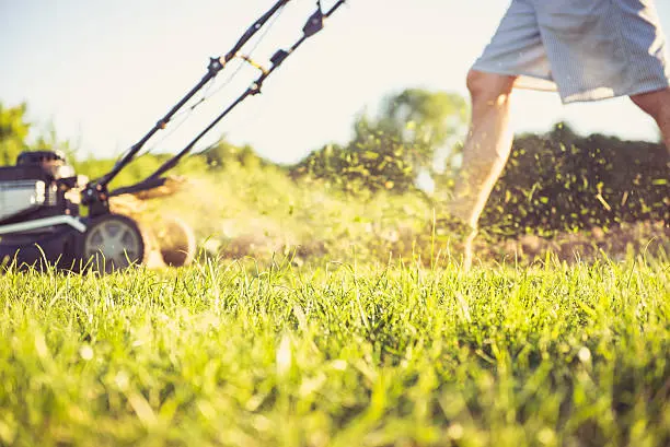 Lawn Mowing in Miami Gardens, FL