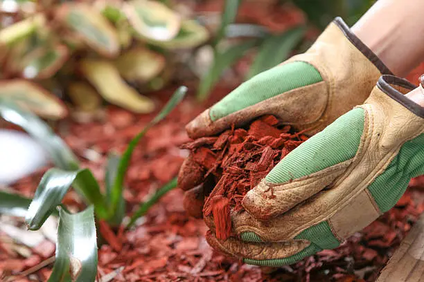 Mulching Miami Gardens, FL