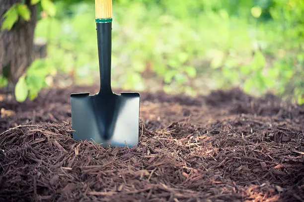 Mulching in Miami Gardens, FL