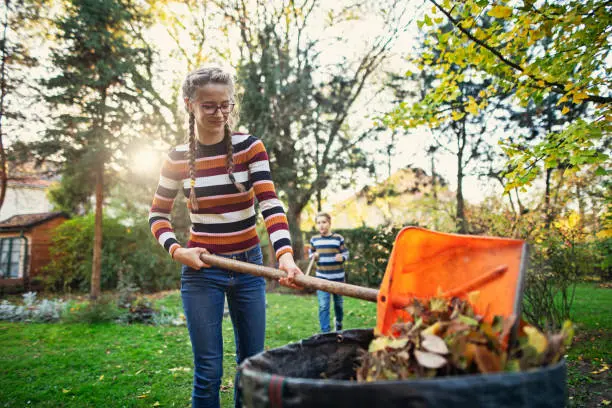 Reliable Yard Cleanup in Miami Gardens, FL