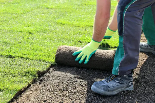 Sod Installation Miami Gardens, FL