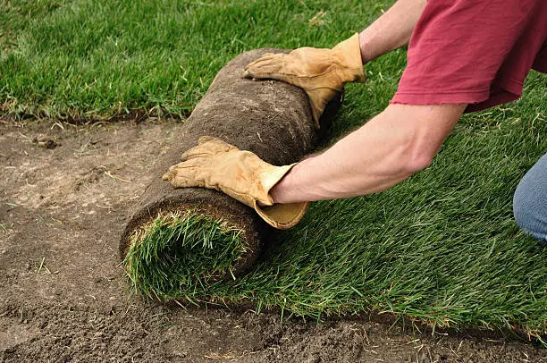 Sod Installation in Miami Gardens, FL