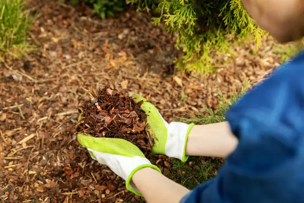 What does mulch do in Miami Gardens, FL