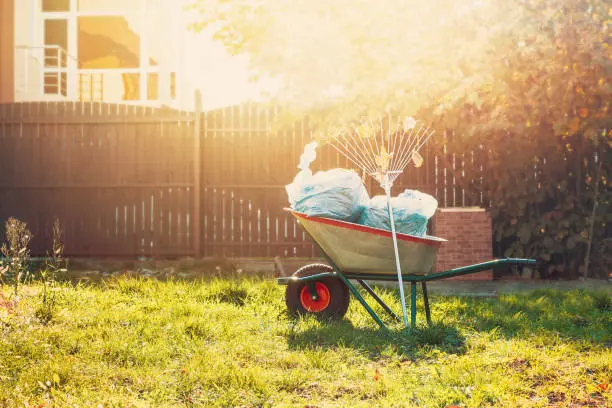 Yard Cleanup in Miami Gardens, FL